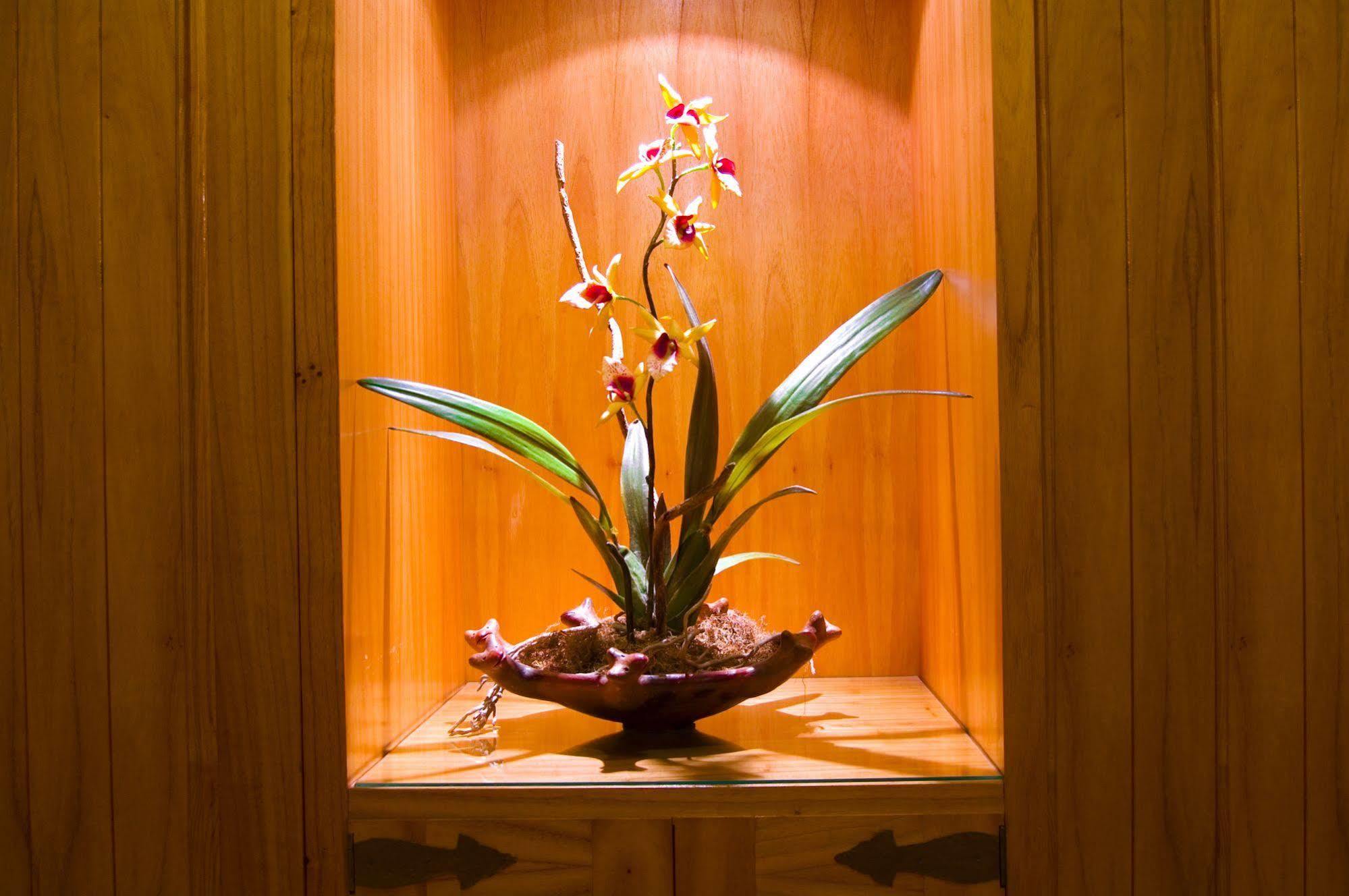 Hotel Las Margaritas Asunción Eksteriør bilde